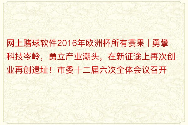 网上赌球软件2016年欧洲杯所有赛果 | 勇攀科技岑岭，勇立产业潮头，在新征途上再次创业再创遗址！市委十二届六次全体会议召开